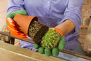 Luvas de Jardinagem Impermeáveis com Garras